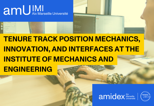 Tenure track position Mechanics, Innovation, and Interfaces at the institute of "Mechanics and Engineering" of Aix-Marseille University